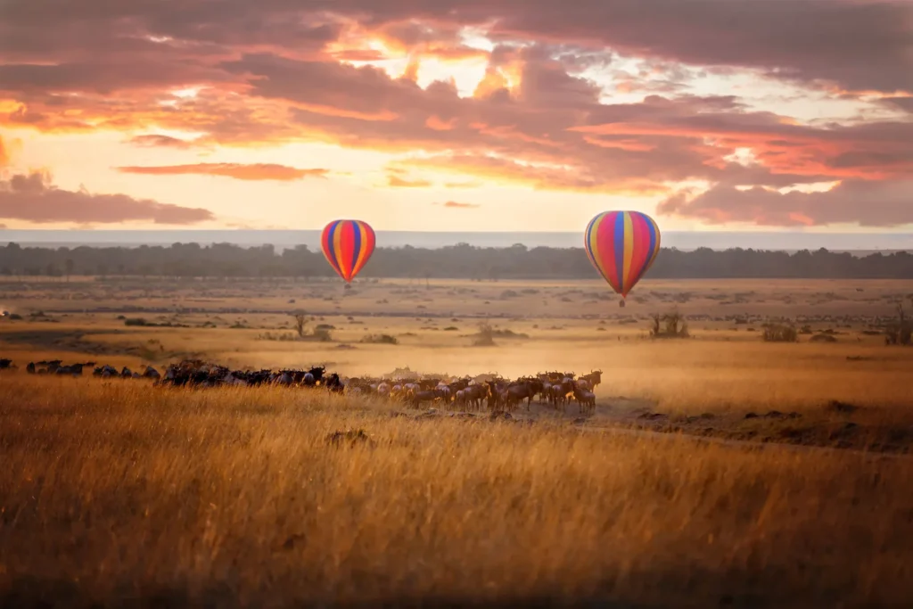 Hot-air balloons above migrating wildebeest on the Serengeti plains