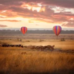 Hot-air balloons above migrating wildebeest on the Serengeti plains