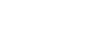 Africa FlashMc Tours logo Africa FlashMc Tours logo